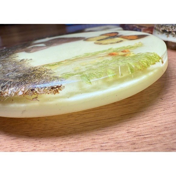 Vtg Acrylic Resin Lucite Trivet Set (2) + Spoon Rest + Wooden Mushroom Wall Art - Picture 9 of 16